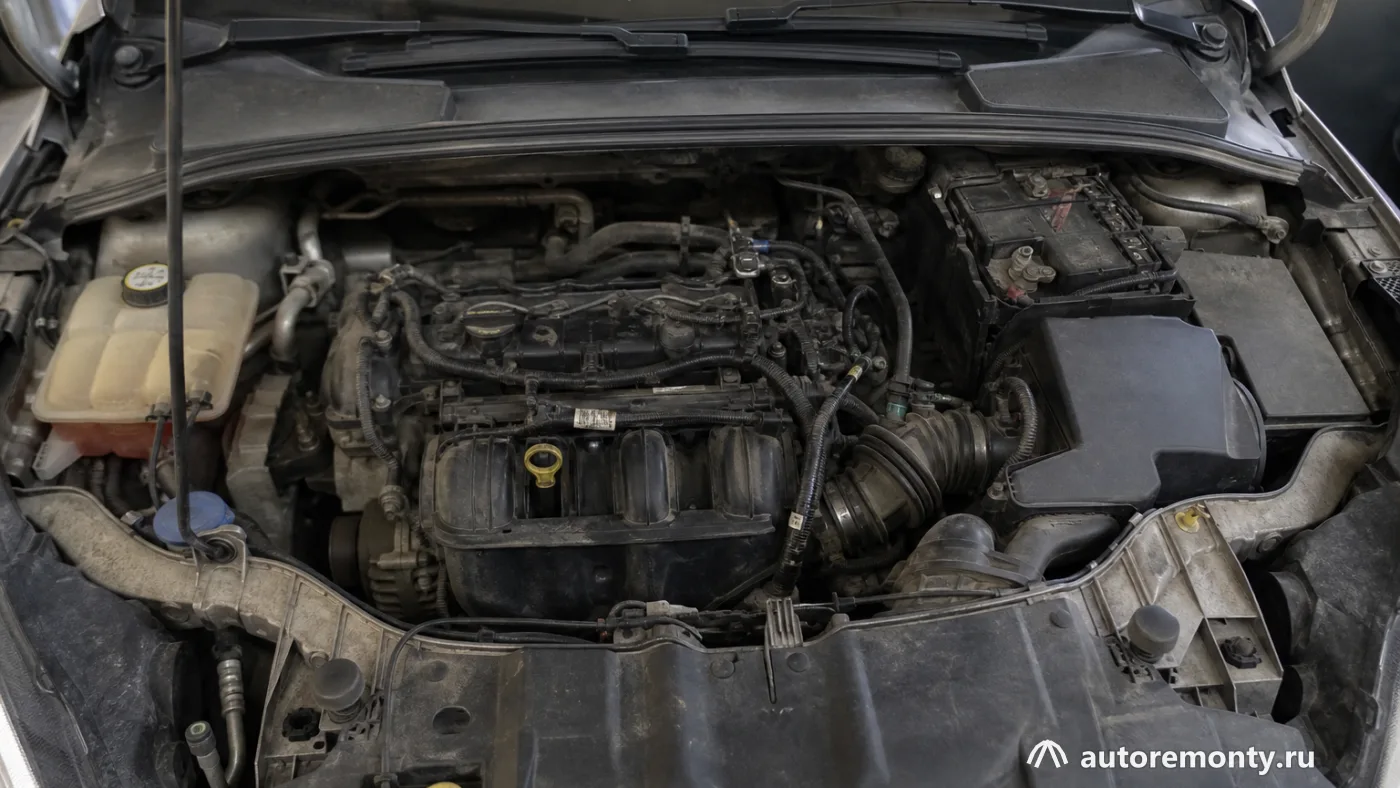 Подкапотное пространство Ford Focus 3 с хорошо видимыми двигателем, расширительным бачком, аккумулятором — Ford Focus 3 обзор болячки плюсы минусы